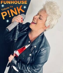 Funhouse Tribute To Pink